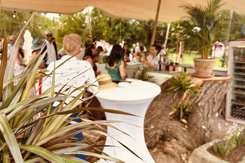 Sommerliches Gartenfest unter Zeltdach mit Stehtischen und Gästen beim Empfang